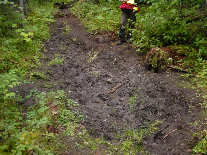 Lyons Creek Trail 009.jpg