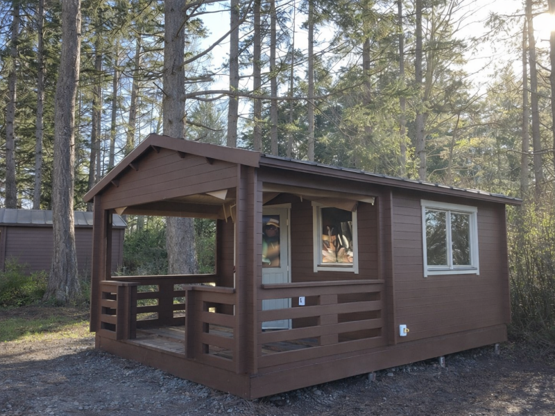 Bunkie cabin
