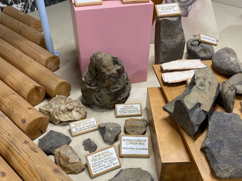 E.C. Manning Park Visitor Centre - Exhibits.jpg